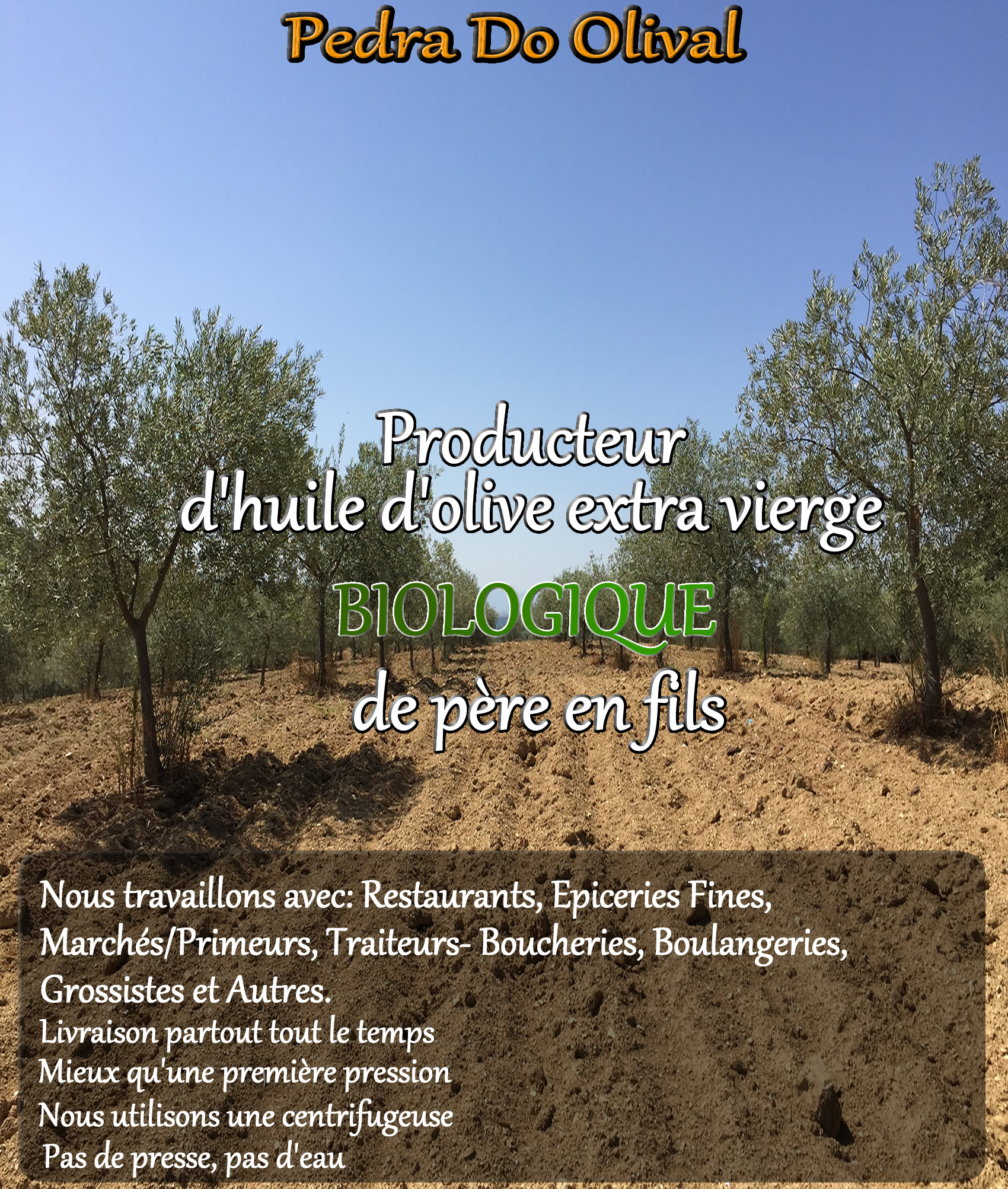 Vente d'huile d'olive extra vierge biologique